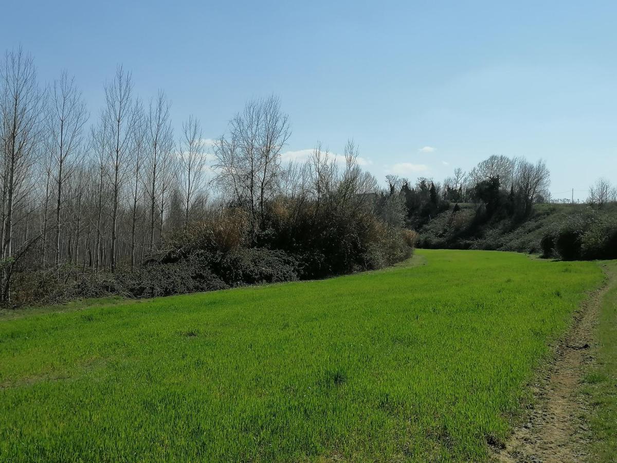 Апартаменты Az.Agricola Agriturismo La Locanda Di Lann Фучеккьо Экстерьер фото