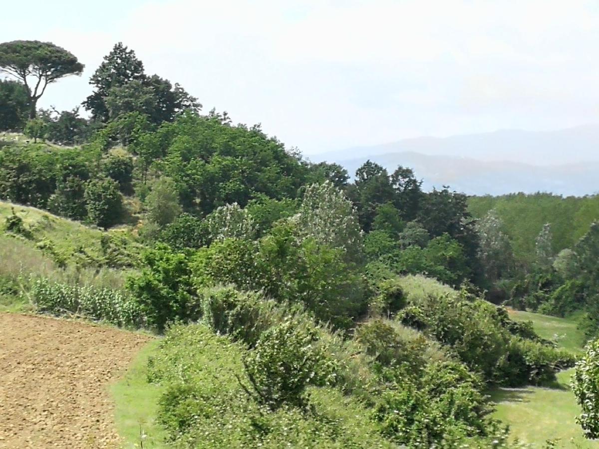 Апартаменты Az.Agricola Agriturismo La Locanda Di Lann Фучеккьо Экстерьер фото