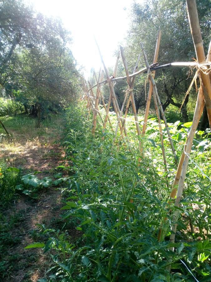 Апартаменты Az.Agricola Agriturismo La Locanda Di Lann Фучеккьо Экстерьер фото