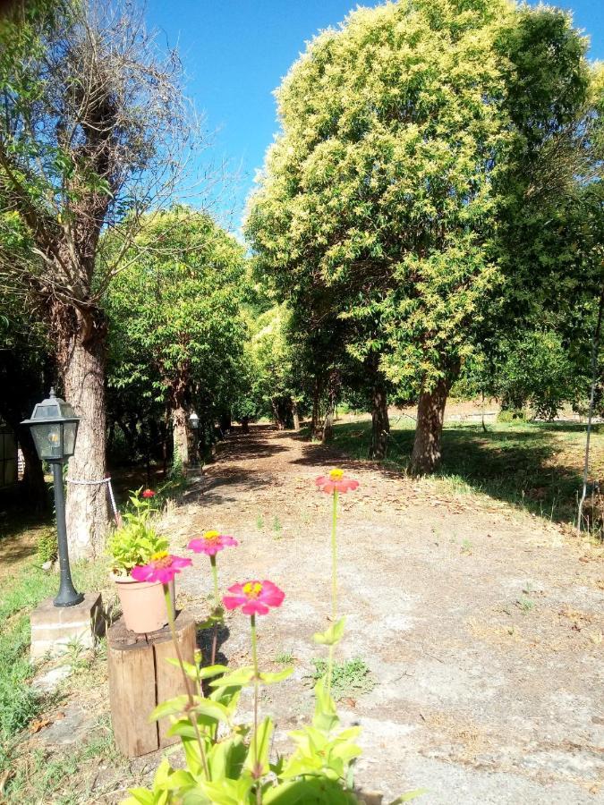Апартаменты Az.Agricola Agriturismo La Locanda Di Lann Фучеккьо Экстерьер фото