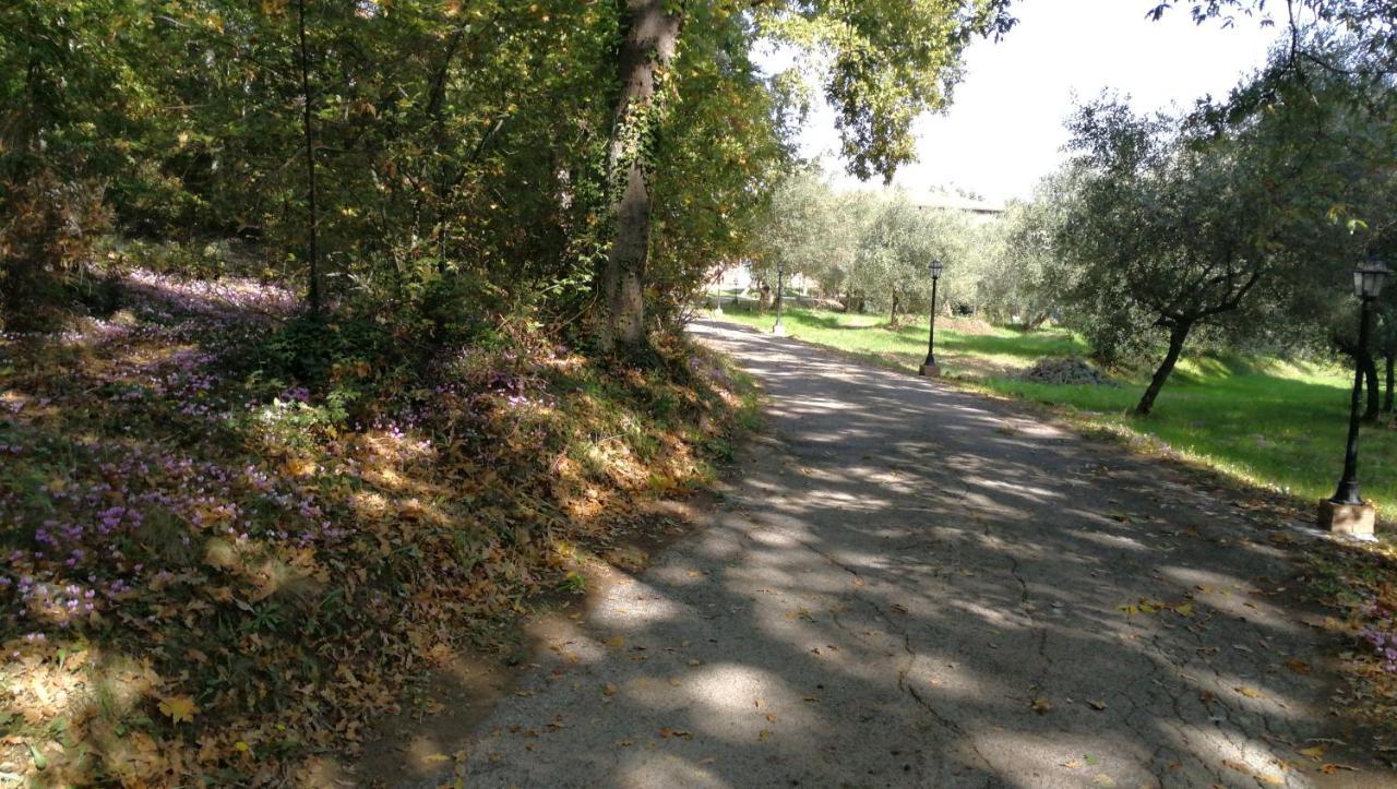 Апартаменты Az.Agricola Agriturismo La Locanda Di Lann Фучеккьо Экстерьер фото