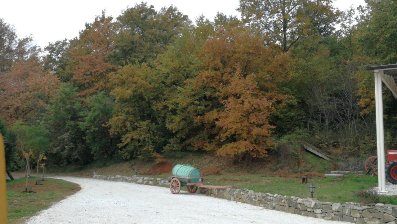 Апартаменты Az.Agricola Agriturismo La Locanda Di Lann Фучеккьо Экстерьер фото