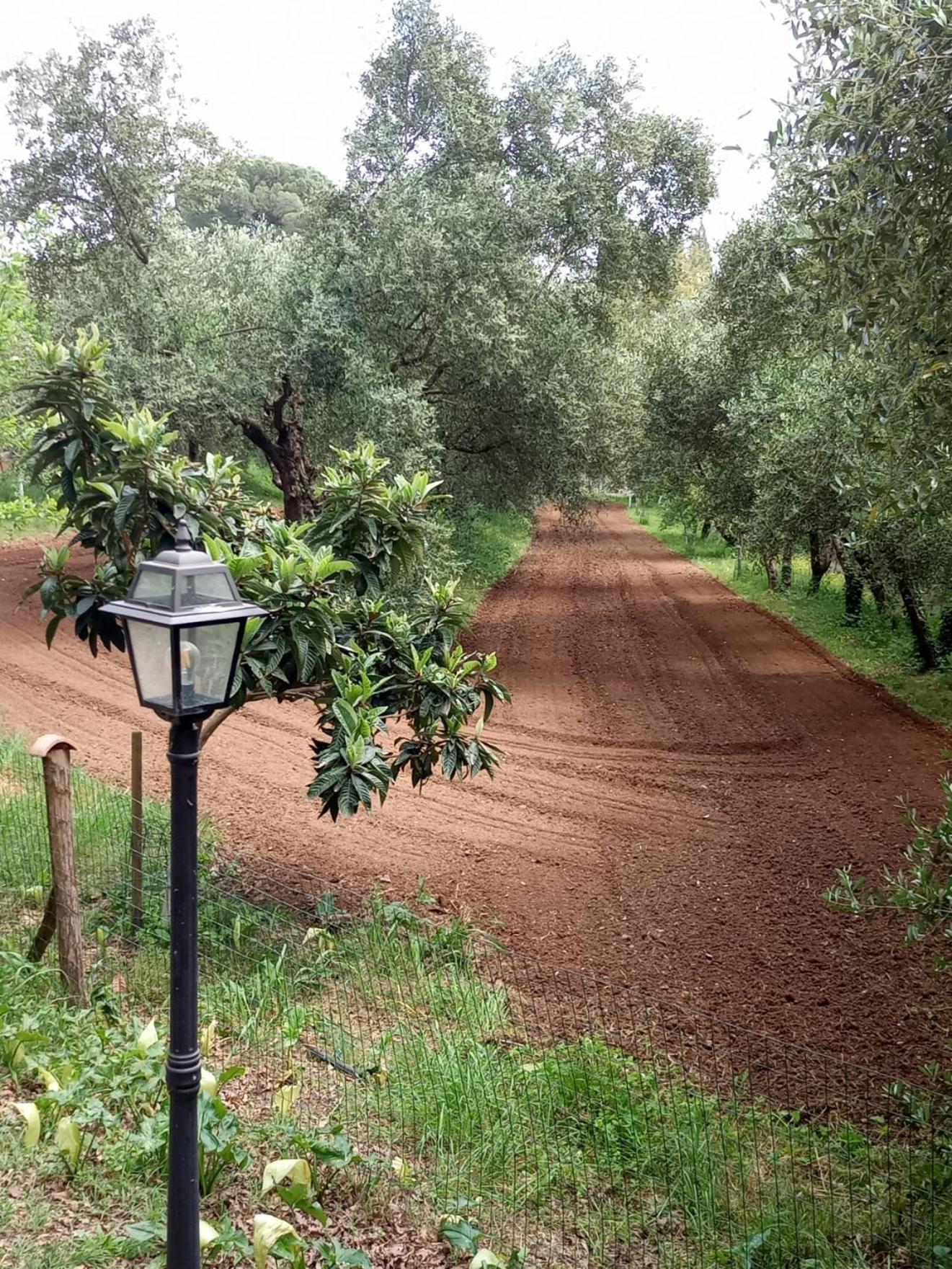 Апартаменты Az.Agricola Agriturismo La Locanda Di Lann Фучеккьо Экстерьер фото