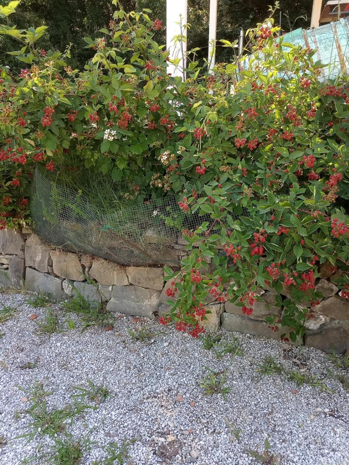 Апартаменты Az.Agricola Agriturismo La Locanda Di Lann Фучеккьо Экстерьер фото